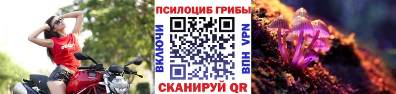 кракен зеркало  Балашов  Псилоцибиновые грибы прущие грибы 