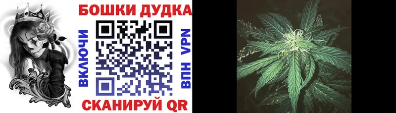 нарко площадка телеграм  blacksprut сайт  Балашов  Канабис план 